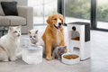 DISPENSADOR DE COMIDA INTELIGENTE PARA MASCOTA